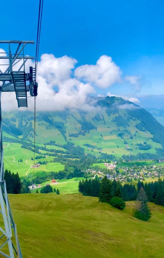 The Swiss Paradise 2 Apartment With Garden, Whirlpool, And Mountain Panorama Wirzweli Экстерьер фото