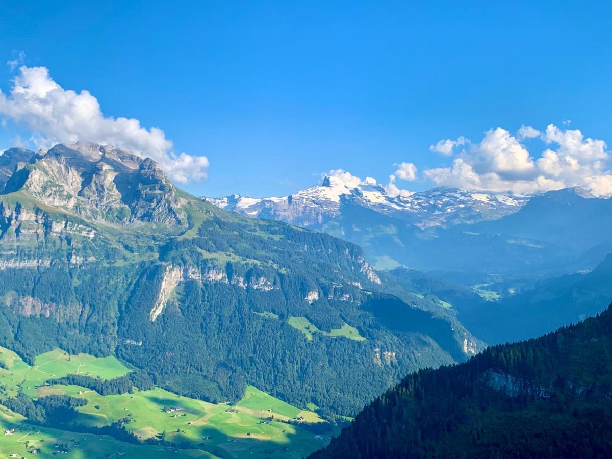The Swiss Paradise 2 Apartment With Garden, Whirlpool, And Mountain Panorama Wirzweli Экстерьер фото
