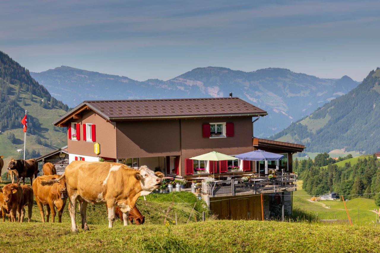 The Swiss Paradise 2 Apartment With Garden, Whirlpool, And Mountain Panorama Wirzweli Экстерьер фото